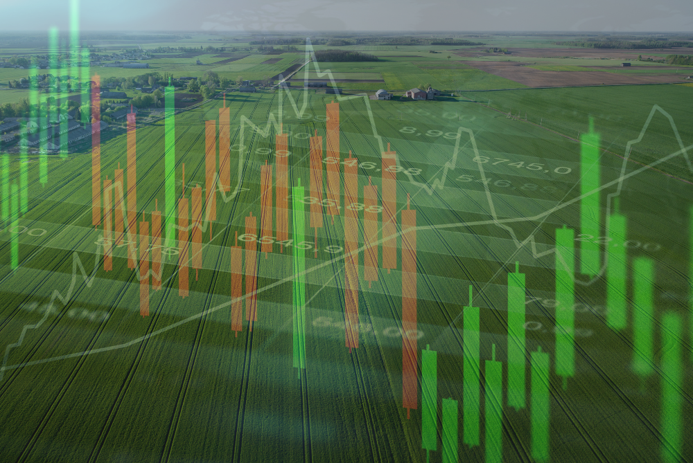 Why Invest in Farmland Instead of Stocks?